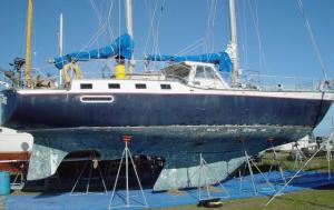 Marine Surveys By Miley Marine Surveying & Consulting, Daytona Beach, Florida, USA - Noel A. Miley, SAMS®  AMS®